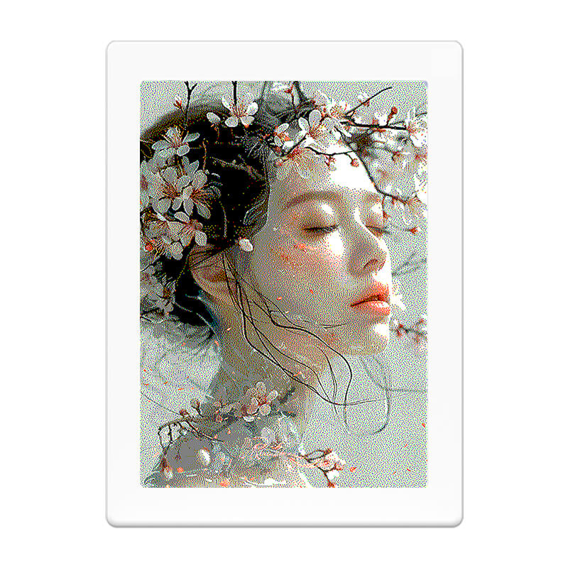 5.89'' e ink photo frame_01