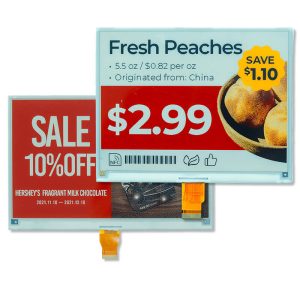 4. E Ink Spectra 3100 ™-Applicantion